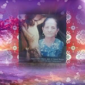 Meet your Posher, Judith